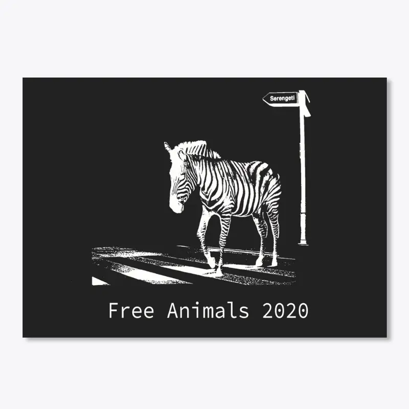 Free Animals 2020 Zebra