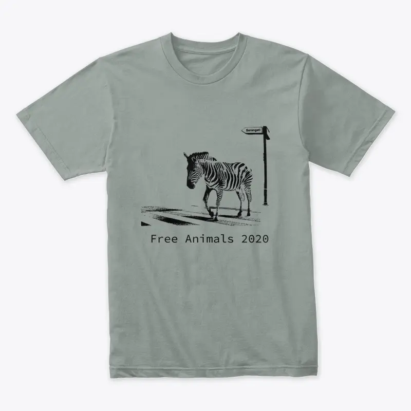 Free Animals 2020 Zebra