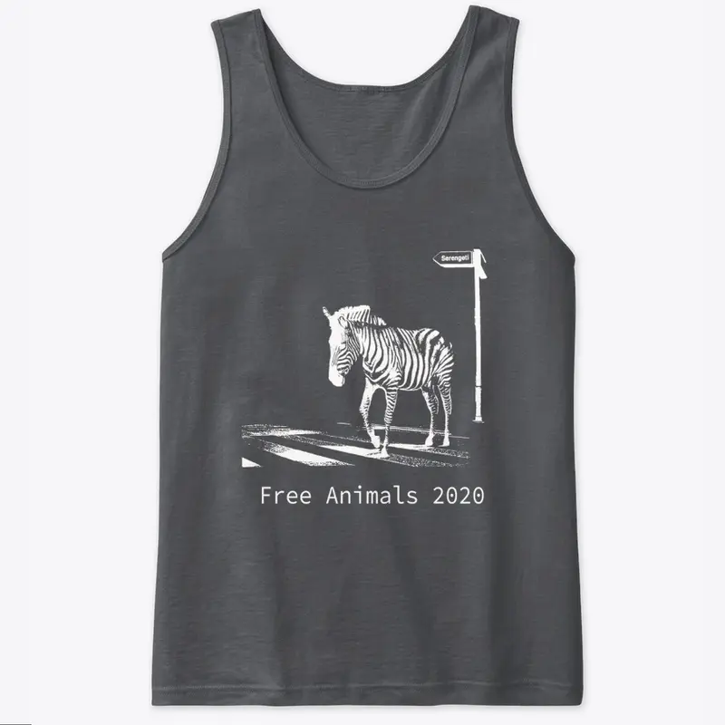 Free Animals 2020 Zebra